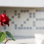 X28 * 米库洛夫